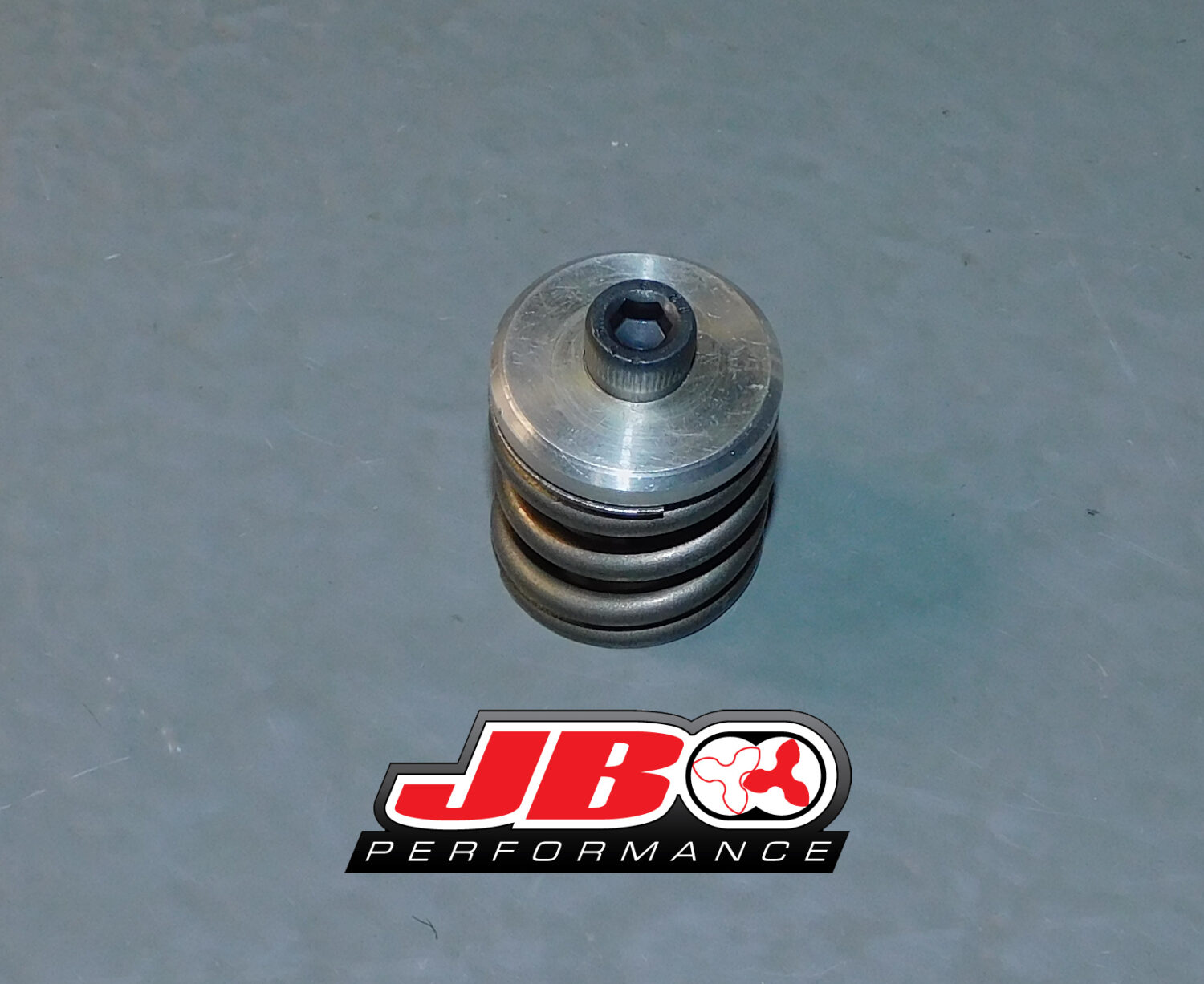 rotor spring assembly